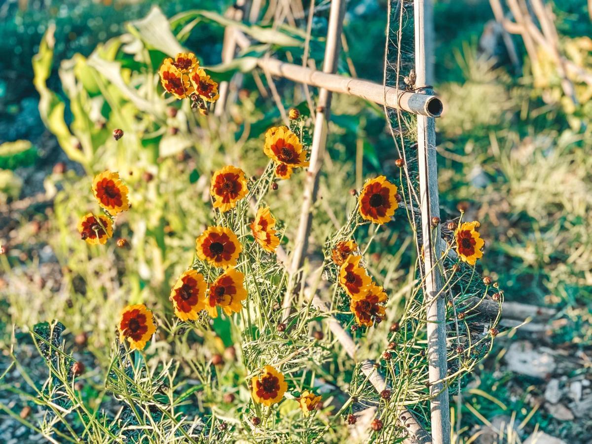 Be A Guest At Pachamama Community Apartment อัลกาแซร์โดซัล ภายนอก รูปภาพ